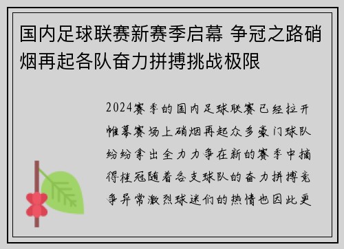 国内足球联赛新赛季启幕 争冠之路硝烟再起各队奋力拼搏挑战极限