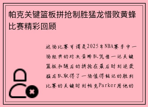 帕克关键篮板拼抢制胜猛龙惜败黄蜂比赛精彩回顾